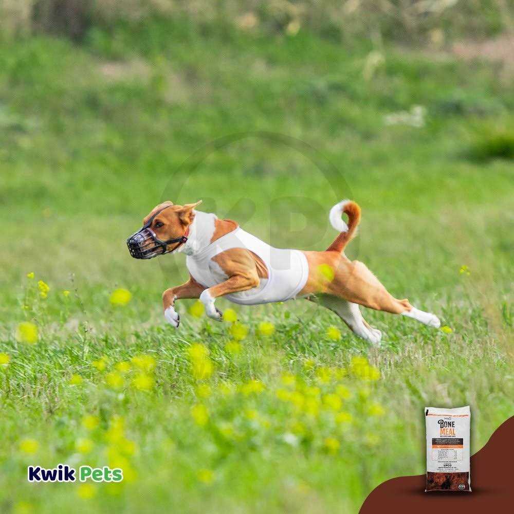 Upco Bone Meal Supplement for Dogs and Cats X2755