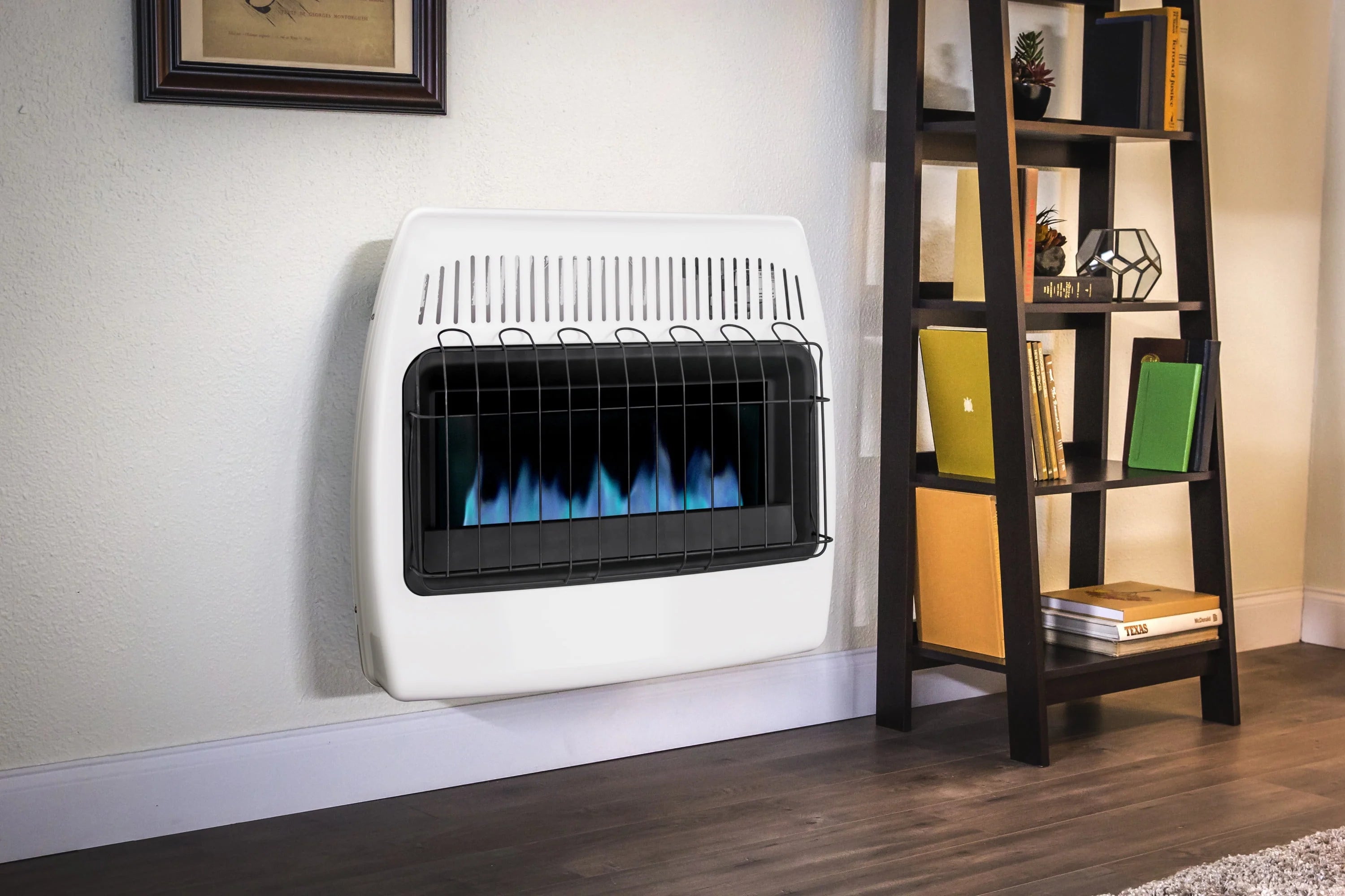Dyna-Glo 30,000 BTU Natural Gas Blue Flame Vent Free Wall Heater Z810512