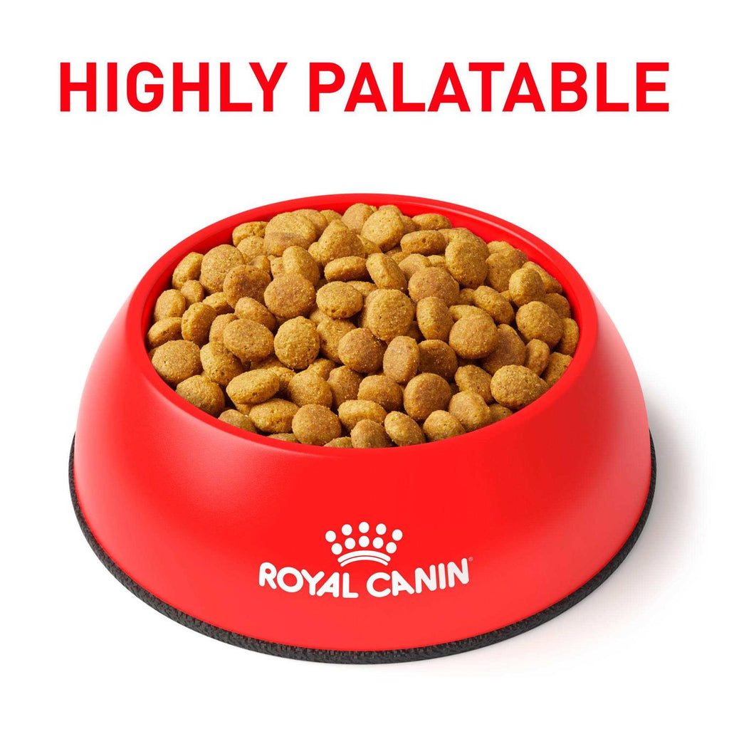 Royal Canin Veterinary Diet Feline Renal Support Dry Food W620