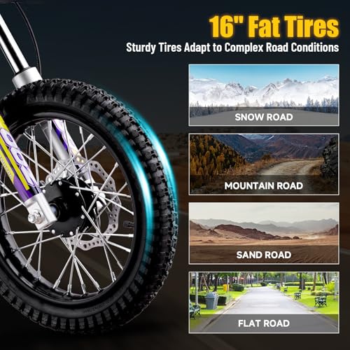 KOOZ HP112E 36V 1000W Electric Dirt Bike for Kids, Purple K601