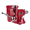 DOYLE 5 in.  Multipurpose Vise with Anvil