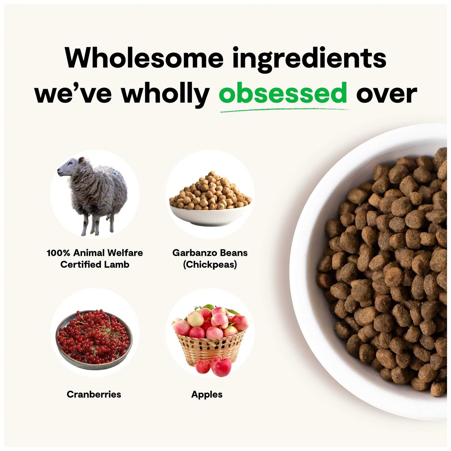 Open Farm Grain-Free Pasture Raised Lamb Dry Dog Food J80909