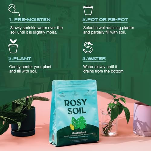 Rosy Soil Indoor Potting Mix for House Plants, Organic with Biochar, Peat Free, 8qt G818