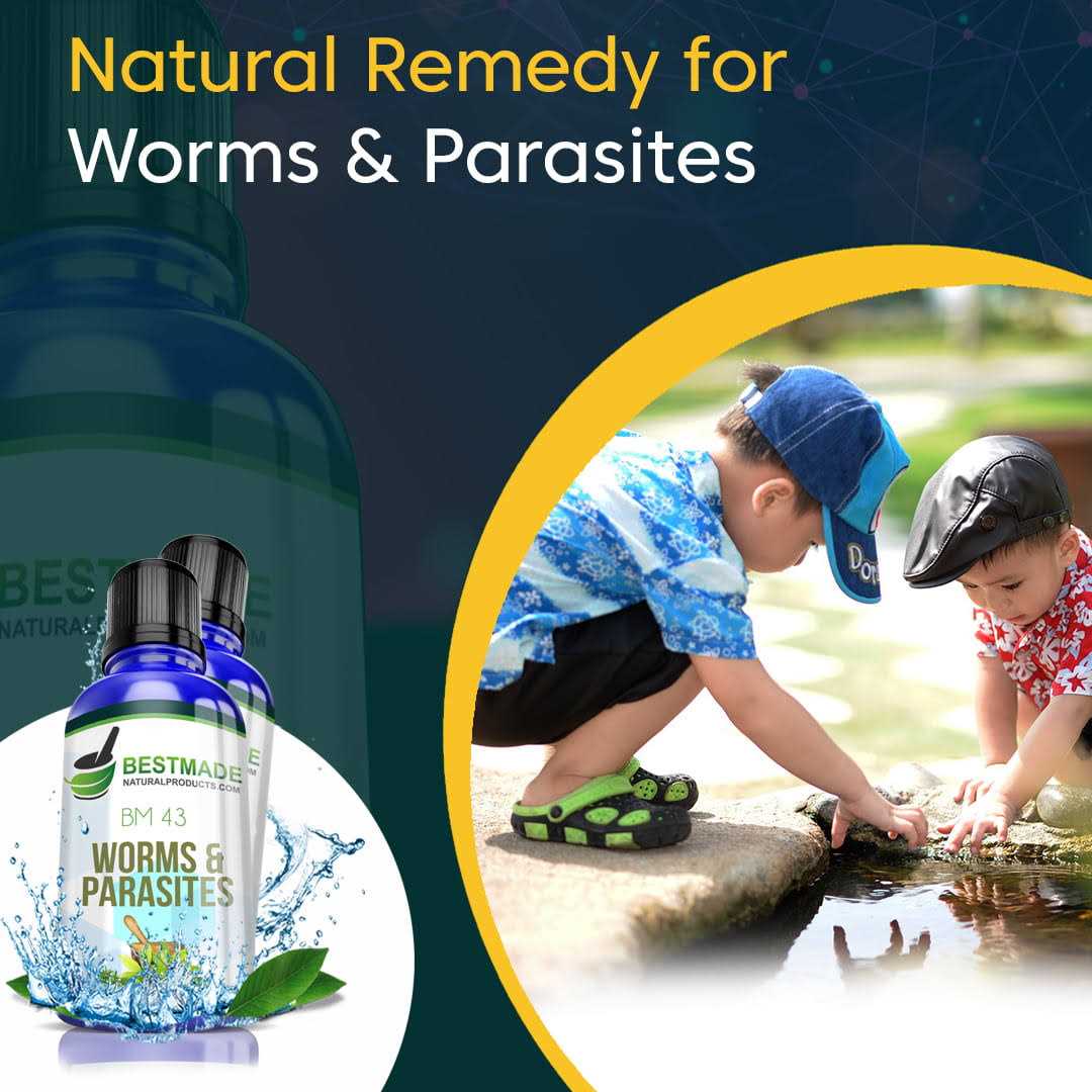 Bestmade Natural Products Worms and Parasites Remedy for Humans Bm43 J537