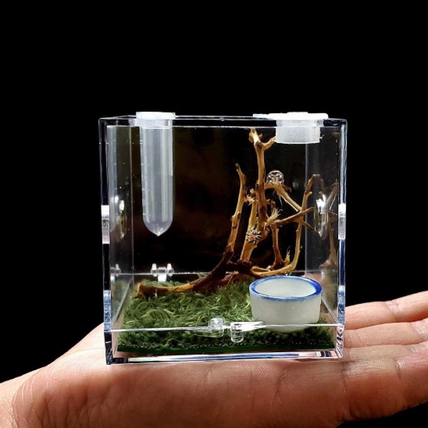 AWXZOM Spider Terrarium Acrylic Reptile Breeding Box Jumping Spider Enclosure with Dropper Tongs Snail cage