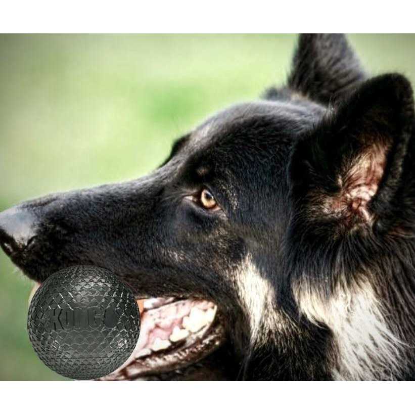 Kong Duramax Ball Dog Toy V433