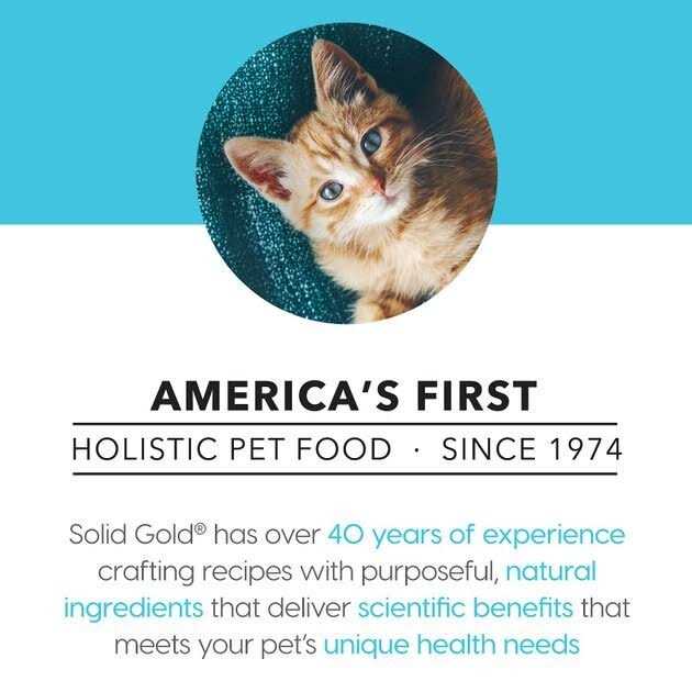 Solid Gold Canned Cat Food Five Oceans Tuna Recipe in Gravy Q7570