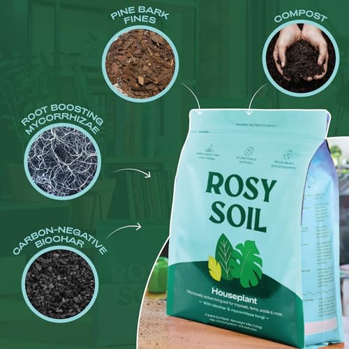 Rosy Soil Indoor Potting Mix for House Plants, Organic with Biochar, Peat Free, 8qt G818
