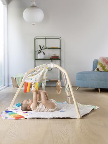 LOVEVERY The Play Gym Stage-Based Developmental Activity Mat for Baby to Toddler O91554