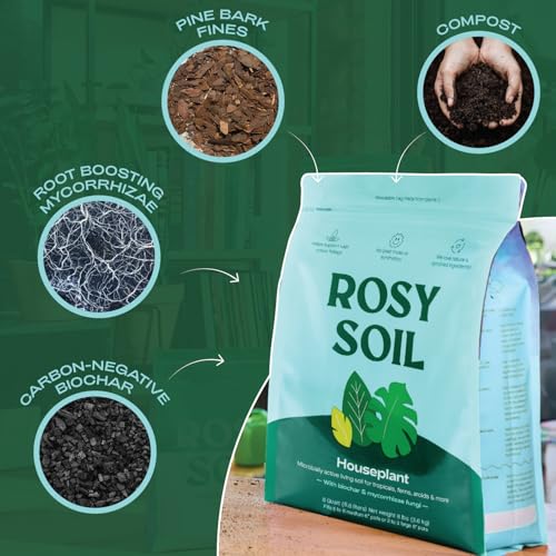 Rosy Soil Indoor Potting Mix for House Plants, Organic with Biochar, Peat Free, 8qt G818