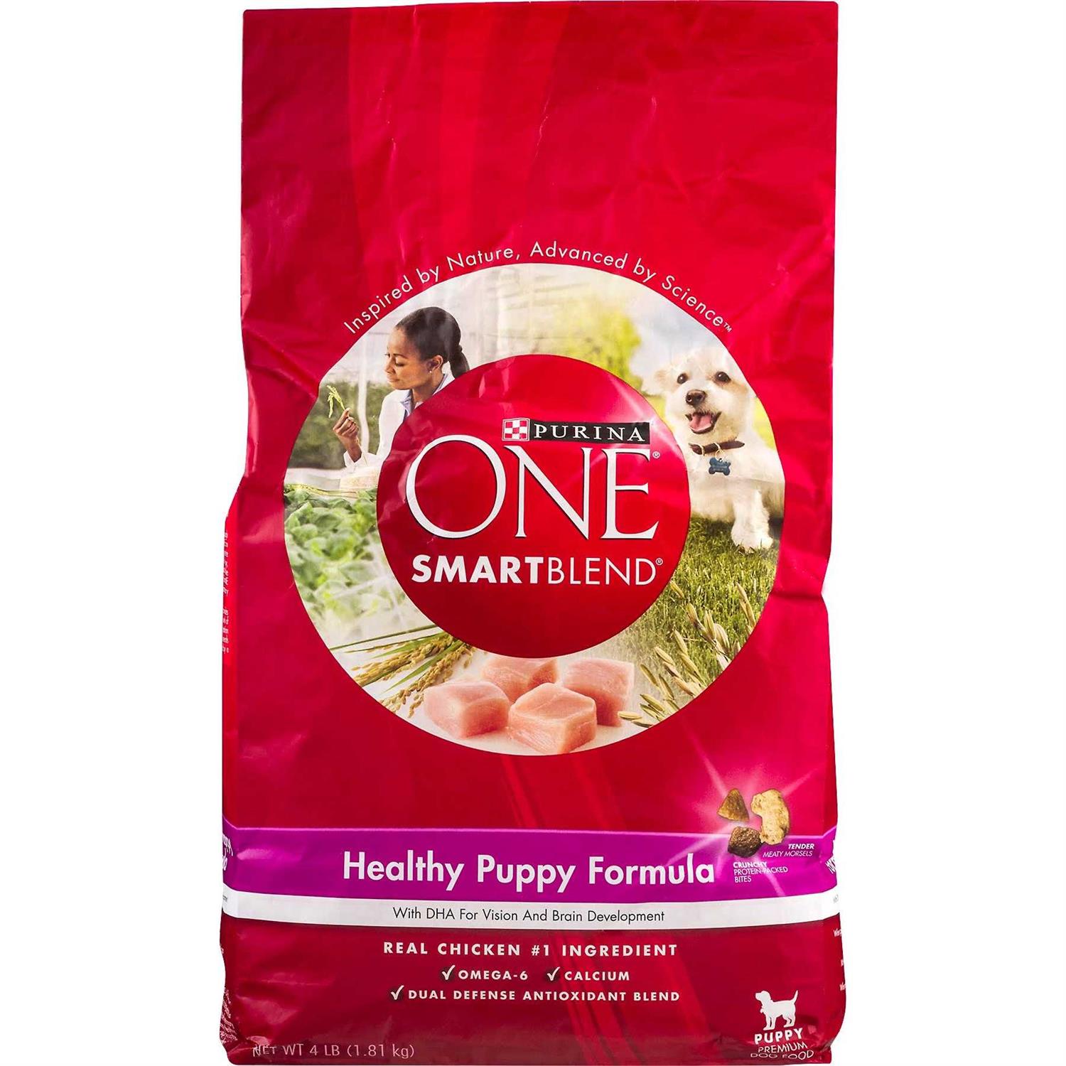 Purina ONE Healthy Puppy Dry Food V794226