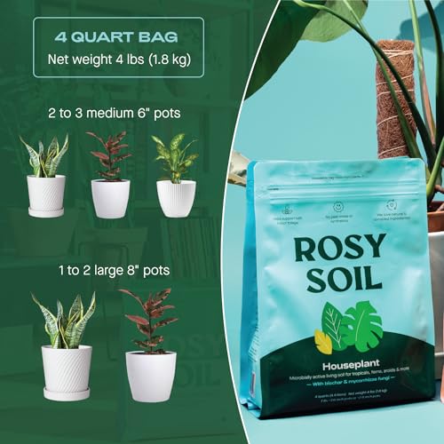 Rosy Soil Indoor Potting Mix for House Plants, Organic with Biochar, Peat Free, 8qt G818