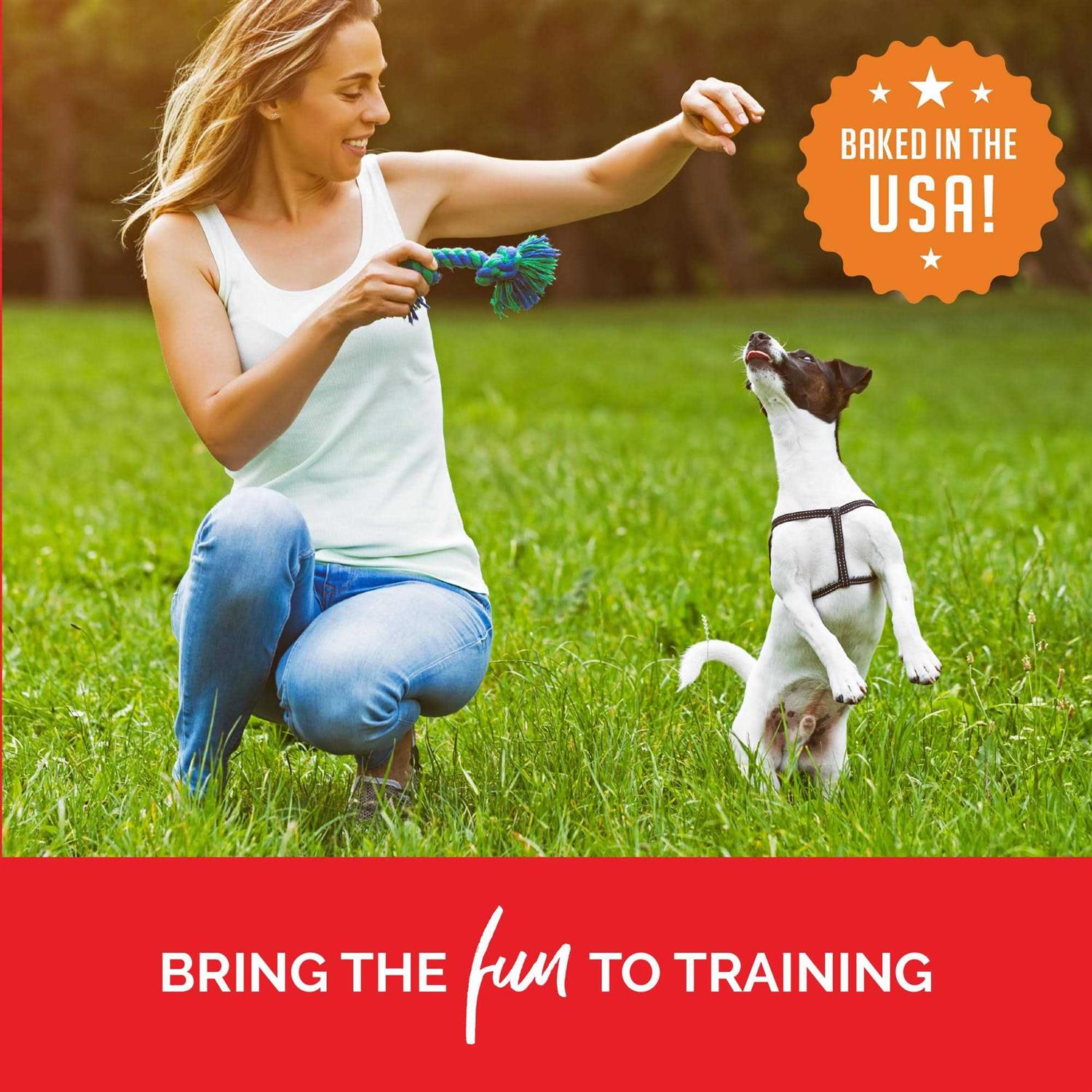 Buddy Biscuits Training Bites Dog Treats R937