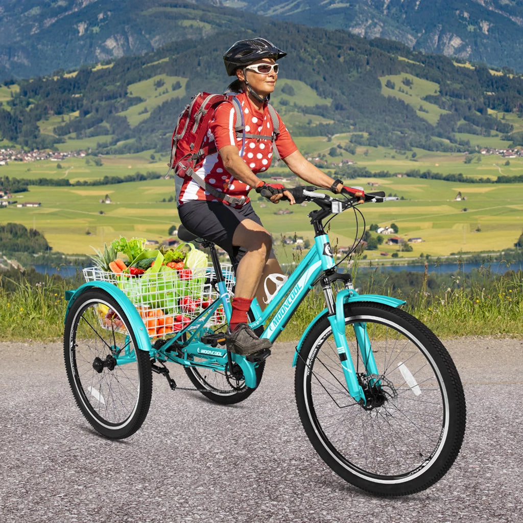 Slsy Mountain Tricycle for Adults, 7 Speed Three Wheel Bike with Cargo Basket I576