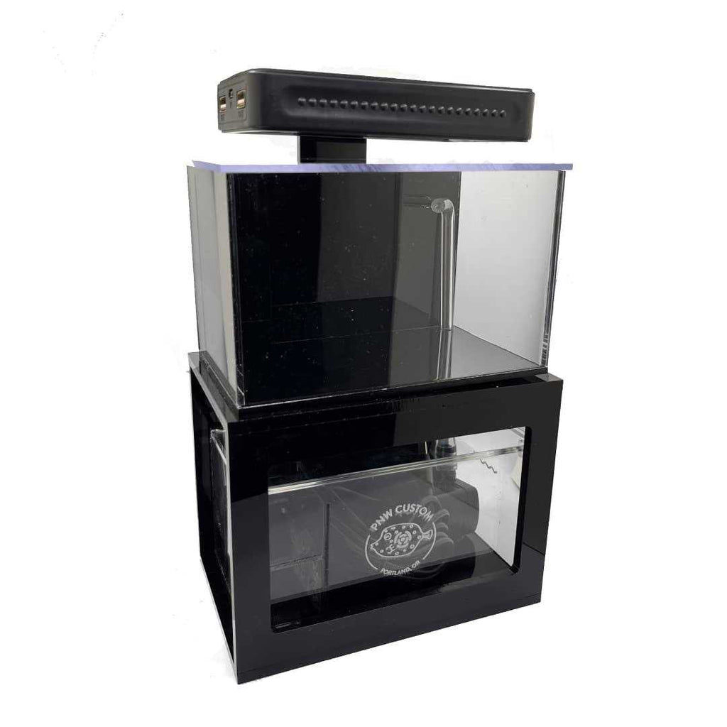 PNW Custom Micro Reef-Ready 40oz Desktop Aquarium