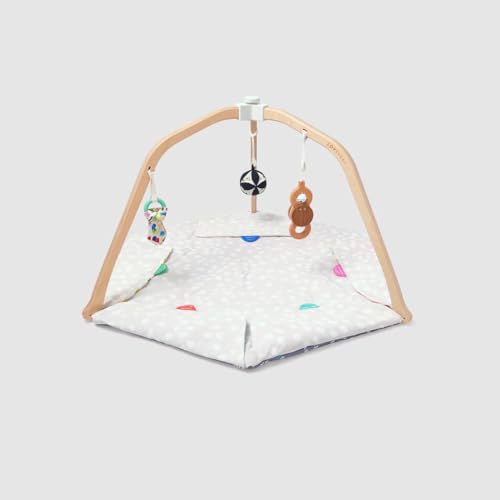 LOVEVERY The Play Gym Stage-Based Developmental Activity Mat for Baby to Toddler O91554