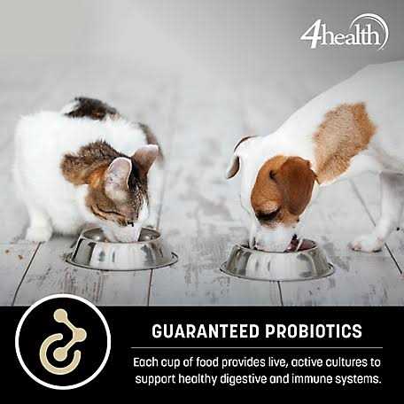 4health Wholesome Grains Adult Lamb and Rice Dry Dog Food L885258