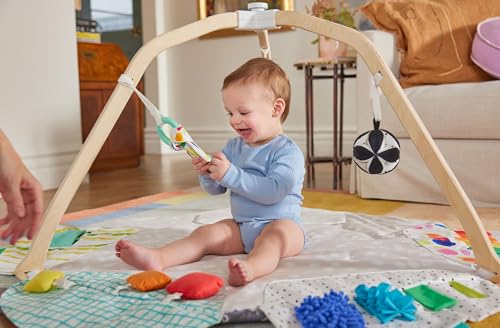 LOVEVERY The Play Gym Stage-Based Developmental Activity Mat for Baby to Toddler O91554