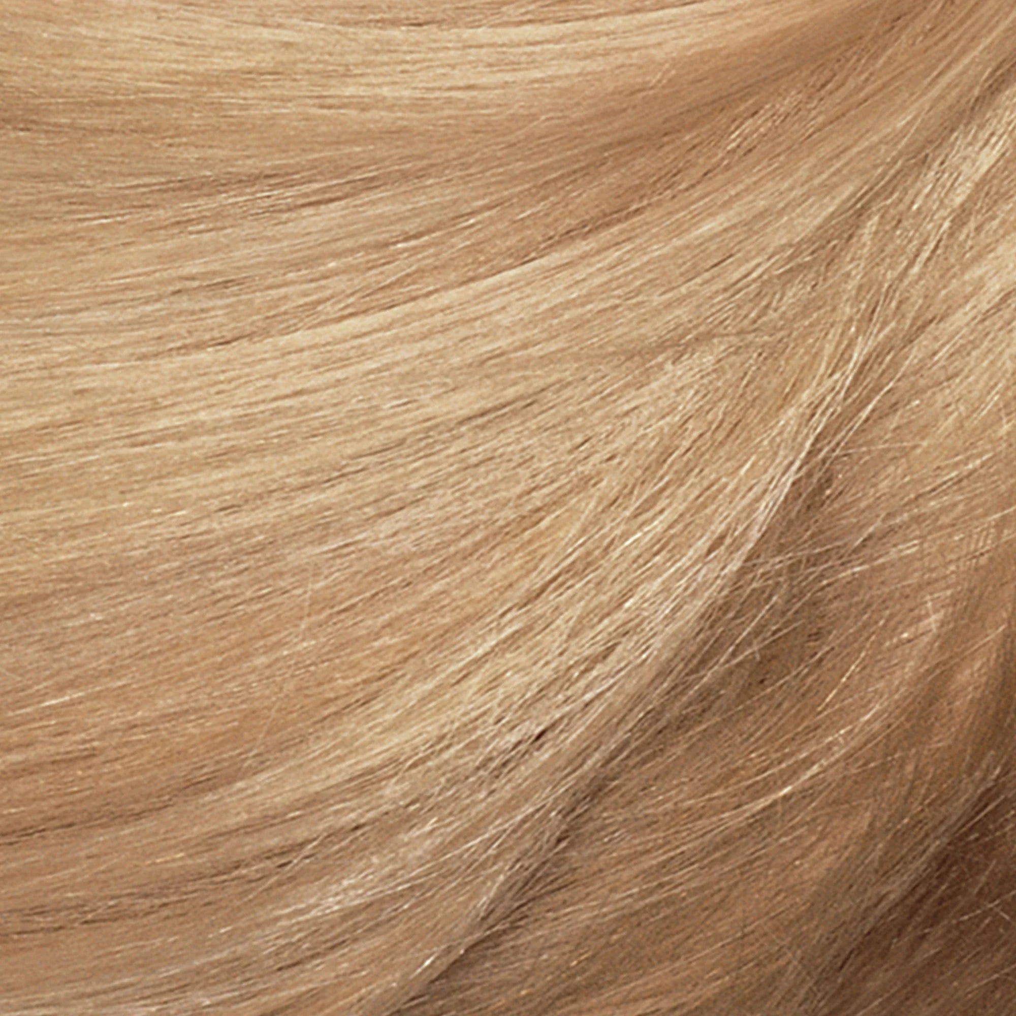 Revlon ColorSilk Permanent Hair Color, 81 Light Blonde E75631