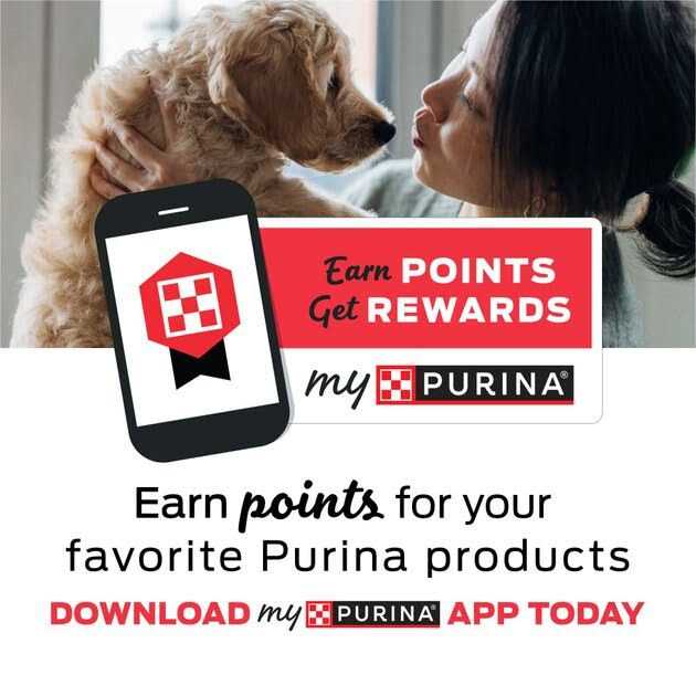 Purina Beyond Organic Chicken Recipe Wet Dog Food X390596