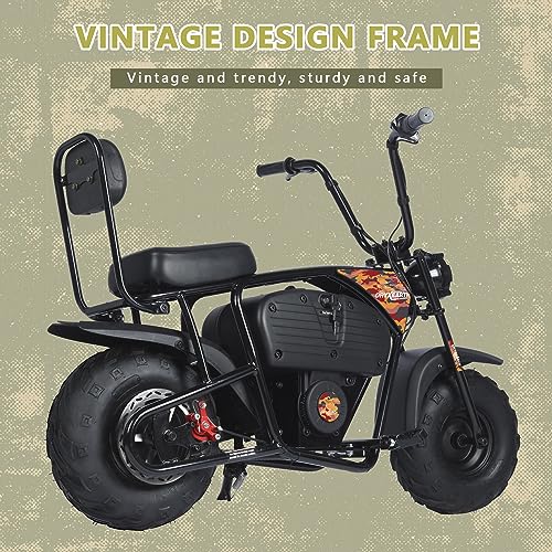Oryxearth 36V Battery Powered Mini Electric Bike for Kids Ages 13+ L41264