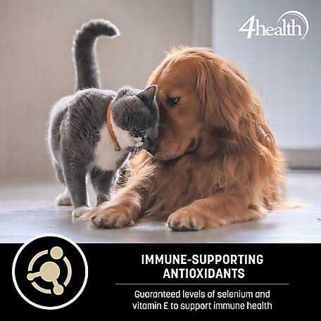 4health Wholesome Grains Adult Lamb and Rice Dry Dog Food L885258