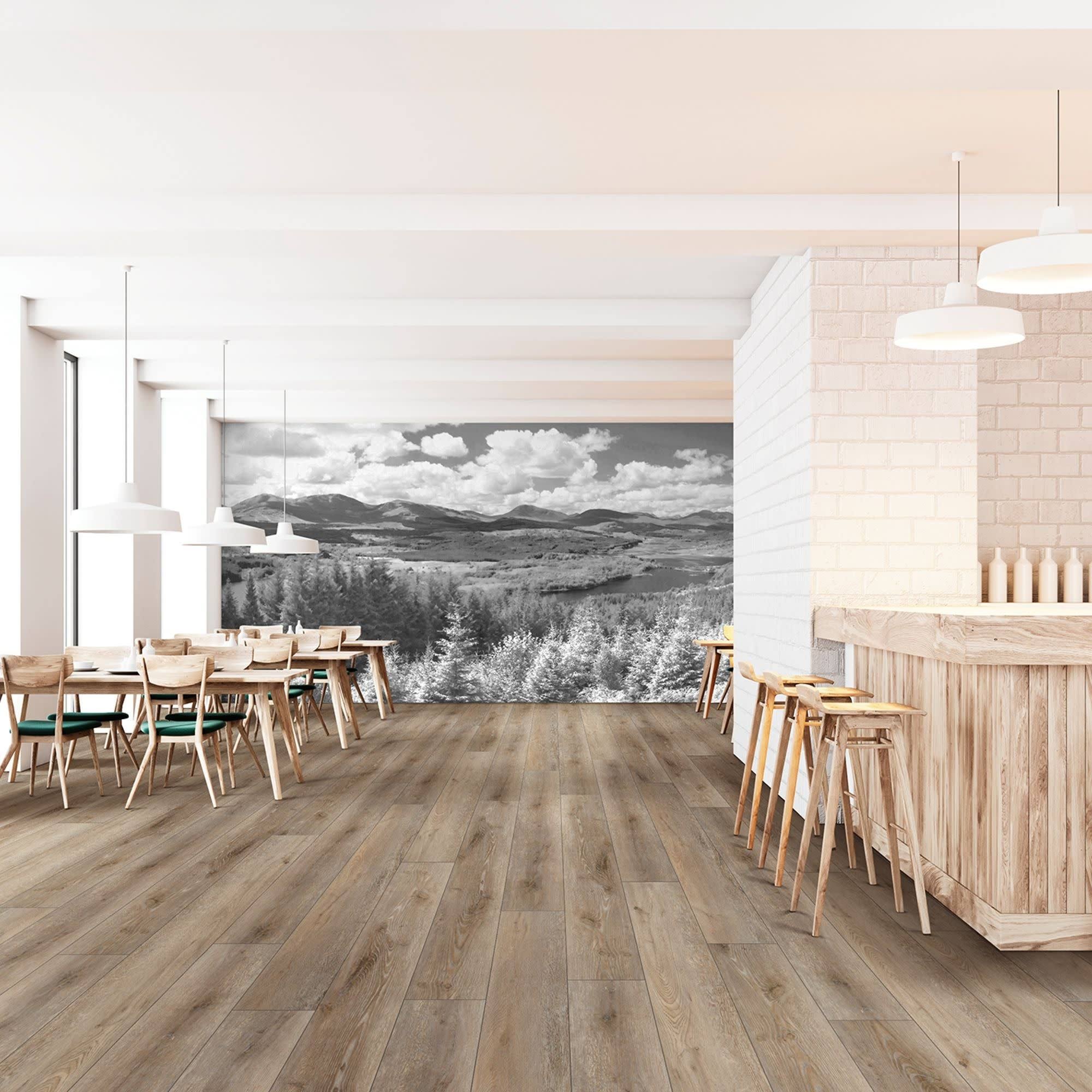 COREtec Pro Plus XL Enhanced Sydney Oak VV491-02953 SPC Vinyl Flooring C5029